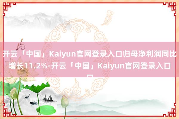 开云「中国」Kaiyun官网登录入口归母净利润同比增长11.2%-开云「中国」Kaiyun官网登录入口